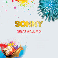 GREAT WALL MIX 2PCS