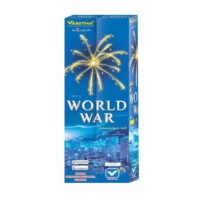 world war